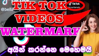 how to download tik tok video without watermark 2024 [upl. by Nylesor]