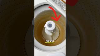 I Saved This Washing Machine cleaning satisfying cleaningtips [upl. by Carena]