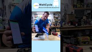 WattCycle 12V 100Ah Mini Bluetooth Battery Specs amp Capacity Test  Pt2 [upl. by Nrojb443]