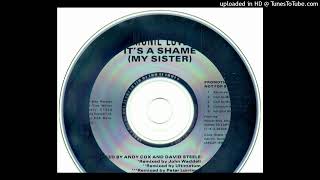 Monie Love Its A Shame My Sister Ultimatum Mix [upl. by Neelasor219]