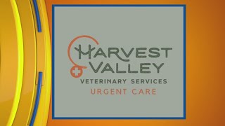 Harvest Valley Veterinary Services  ciLiving [upl. by Goldina640]