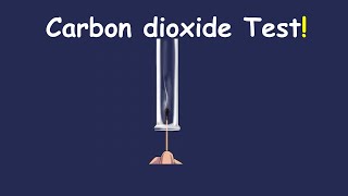 How to test for carbon dioxide [upl. by Beale]