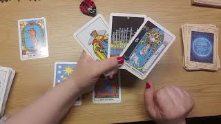 Leximi i letrave tarot per veren 2024 [upl. by Hashum]