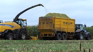 Maize harvest New Holland FR600  HDS Dunnink Staphorst  Mais hakselen 2019 [upl. by Garlan]