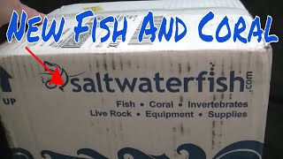 Saltwaterfishcom Fish Unboxing [upl. by Slavin]