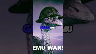 How Emu won the war with Australia [upl. by Thora]