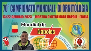 Grandisimo reportaje del Mundial de Ornitologia en NAPOLES 🇪🇸🇪🇸🇪🇸 [upl. by Hardy]