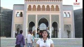 ZOHRA LAJNEF  TLEMCEN 2552011 [upl. by Stefan327]