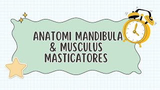 Anatomi Mandibula amp M Masticatores  Muscle Regio Antebrachii amp Manus  Articulatio Genu amp Os Femur [upl. by Luas]