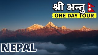 SILIGURI TO SHREE ANTU 🇳🇵  Exploring Eastern Nepal  ILAM KANYAM FIKKAL  Nepal bhansar [upl. by Melosa]