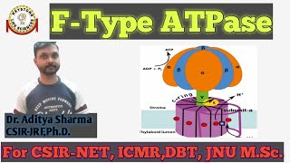 FType ATPase  ATP Synthase In Hindi By Dr Aditya Sharma CSIRJRF PhD For CSIRNET ICMR DBT [upl. by Feld]