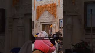 Nankana sahib parkash gurprub path aarab sahib at Janam asthan Guru Nanak dev sahib 2024 [upl. by Aicilef]