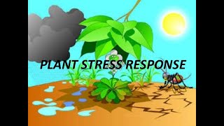 Plant stress and its types and effects of heat and cold stress on plants [upl. by Veron]