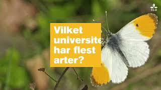 Har vi flest arter på campus [upl. by Lytton]