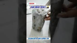 🎥unboxingvideo exoticguppies 🐟 from Kerala 🔜 BREEDING SET UP [upl. by Arolf]