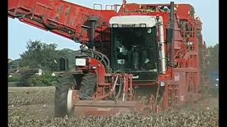 Potato harvesting in the Norfolk fenland Oct 2011 [upl. by Adlemi]