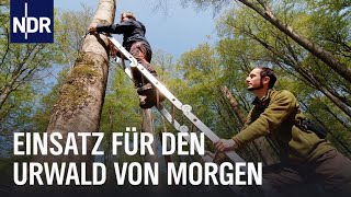 Ganz schön wild Artenschutz im Norden  Die Nordreportage  NDR Doku [upl. by Skutchan363]