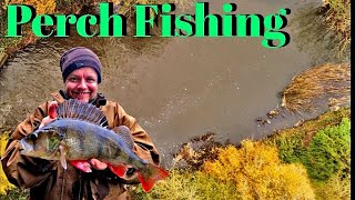 Fishing for Perch on a Small river [upl. by Tolmach]