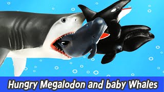 EN Hungry Megalodon and baby whales sharks and whales cartoons for kids collectaㅣCoCosToy [upl. by Shih]