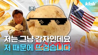 미국 비만의 주범을 잡아라 감자로 화끈한 미국 현황 알아봄｜크랩 [upl. by Tdnaltroc515]