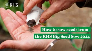 How to sow seeds from the Big Seed Sow 2024  The RHS [upl. by Addie]