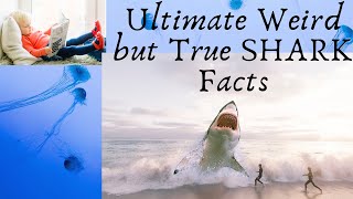 shorts Ultimate Weird but True SHARK Facts  national geographic kids [upl. by Harrow]