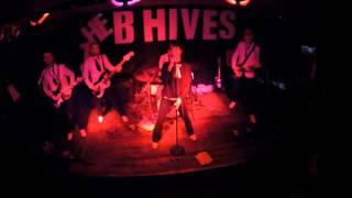 Dead Quote Olympics  The B Hives Hives Tribute [upl. by Whit]