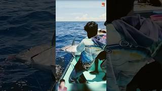 big fish catching in sea shorts fishing fish tuna fishinglife bigfish fiahing fishingtechniq [upl. by Nils]