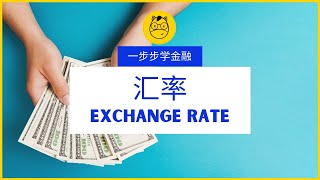 【一步步学金融】第六课  汇率 Exchange rate [upl. by Thagard]