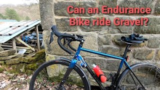 Can an Endurance Bike ride Gravel  Genesis Equilibrium Disc Review [upl. by Hnacogn]