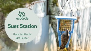 Suet Station Recycled Plastic Suet Bird Feeder  EcoCycle™ Recycled Materials Collection [upl. by Tsnre]