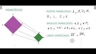 8° Homotecias  Como encontrar puntos ángulos y lados homólogos [upl. by Erida]