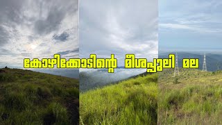 കോഴിക്കോടിന്റെ മീശപ്പുലി മല പൂകുന്നു അല്ലെങ്കിൽ പൊങ്കുന്ന് മല [upl. by Tillio700]