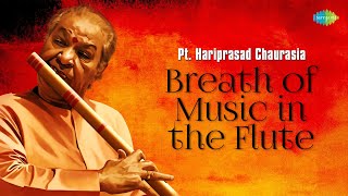 Pt Hariprasad Chaurasia  Breath Of Music In The Flute  Peaceful Morning  Indian Classical Music [upl. by Lissie]