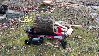 Demo 5 ton electric log splitter from Harbor Freight [upl. by Puritan]