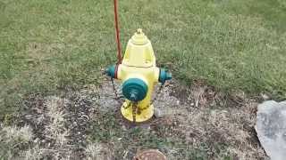 McWane Clow F2500 Model 5 14 Inch Valve Opening Dry Barrel Fire Hydrant [upl. by Shaun]