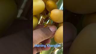 Maming Khangbiba Yaobro Manipuri Viralshorts Viralvideo Trendingvideo Trendingtoday [upl. by Harihat]