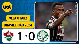 FLUMINENSE 1 X 0 PALMEIRAS  CAMPEONATO BRASILEIRO 2024 VEJA O GOL [upl. by Lunna]