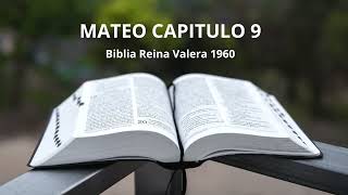 MATEO CAPITULO 9  BIBLIA HABLADA  REINA VALERA 1960 [upl. by Ardnoik36]