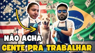 Quanto ganha um tosador de cachorros nos Estados Unidos Profissões para trabalhar nos EUA [upl. by Anaili]