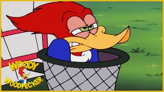 Woody Woodpecker Show  Niece and Quiet  Full Episode  Cartoons For Children [upl. by Thelma]