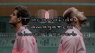 Taconafide  Tamagotchi  Slowed amp Reverb [upl. by Aline]