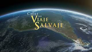 Chile Un viaje salvaje [upl. by Horowitz]