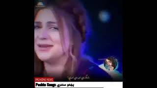 Asfandyar Momand amp Sana Gul New Songs 2024  Os rata tora tora Tapp اهنگاستوری سندره پشتوسندری [upl. by Anuaf]