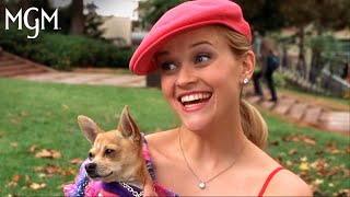 Legally Blonde the Musical Full Show [upl. by Lacombe]