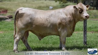 Lot 40 Mountview Tennessee T2 PS [upl. by Atteuqahs]