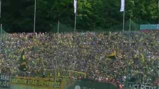 Wuppertaler SV gegen Borussia Dortmund II Amas Aufstieg HD Stimmung [upl. by Enirtak]