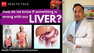 The Liver How do we know if something is wrong with our liver [upl. by Reppart]