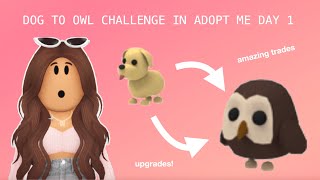 DOG TO OWL CHALLENGE DAY 1 IN ADOPT ME i got amazing trades [upl. by Symons]