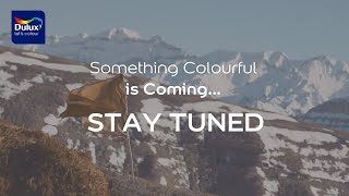 Something Colourful is Coming [upl. by Louls]